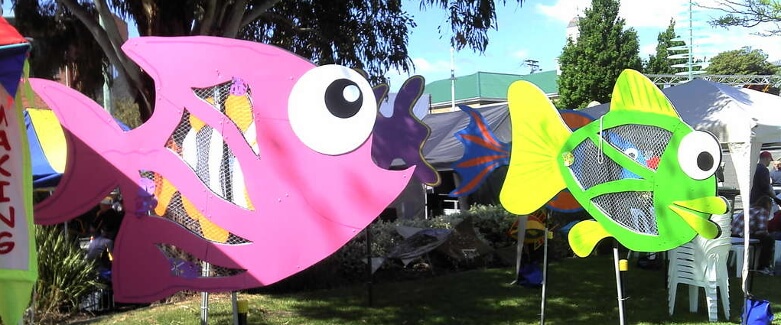 curiouser compressed 1